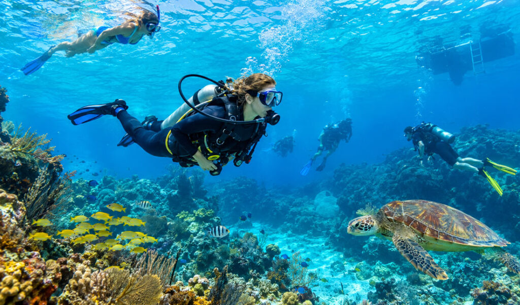 Diving South Florida : 6 Skill Levels Explained