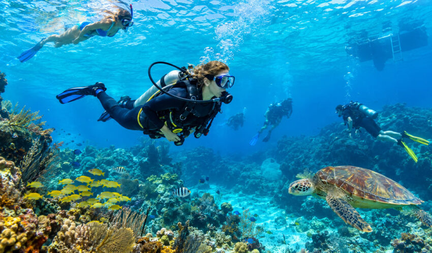 Diving South Florida : 6 Skill Levels Explained for